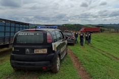 PCMG recupera gado avaliado em cerca de R$ 300 mil no Espírito Santo